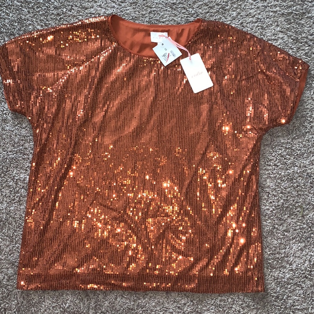 Sequin Scoop Neck Top (Rust)